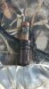 Specklebelly Goose Call