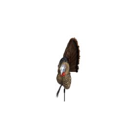 Avian-X Trophy Tom Turkey Decoy