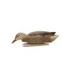 Avian-X Top Flight Fusion Pack - Mallard 6/ct