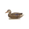 Avian-X Top Flight Fusion Pack - Mallard 6/ct