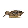 Avian-X Top Flight Blue Wing Teal Decoys - 6/ct
