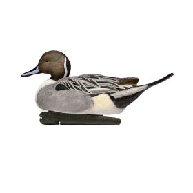Avian-X Topflight Pintails Duck Decoys 6/ct