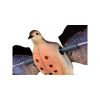 Avian-X Powerflight Robo Spinning Wing Dove Decoy