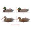 Rig 'Em Right Mainline Series Mallard Decoy 6/ct