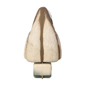Higdon Outdoors Magnum Duck Butt Mallard Foam Filled Drake & Hen 2pk