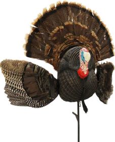 MOJO OUTDOORS Mojo Scoot N Shoot Max Turkey - Decoy HW2513