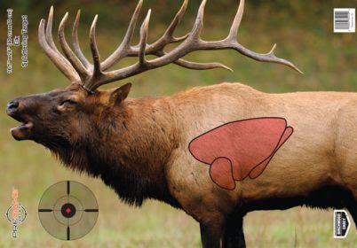 Birchwood Casey ELK TARGET PREGAME 16.5"X24" 35404